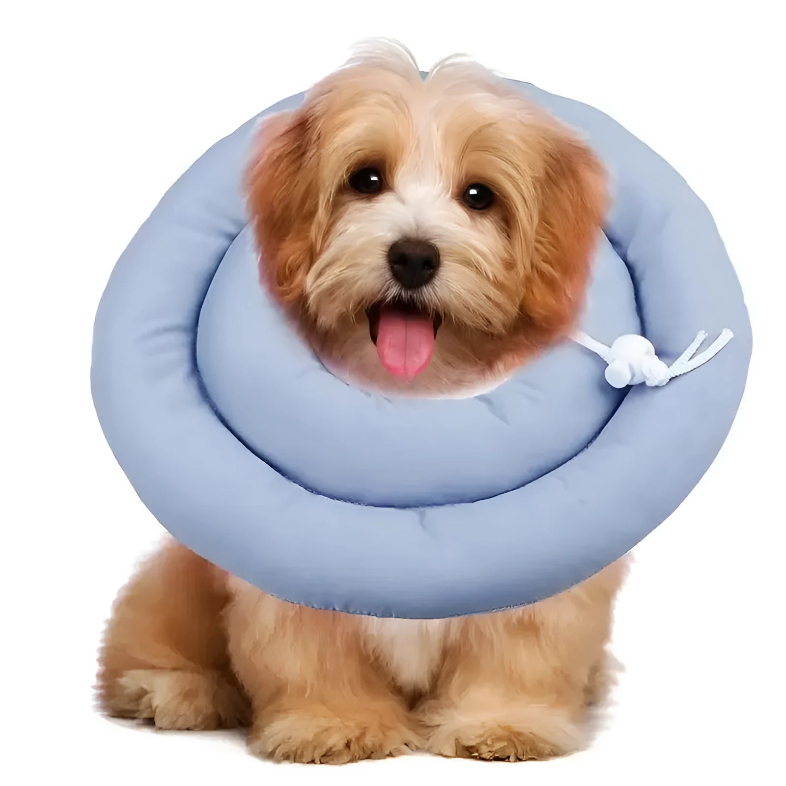 Blue adjustable Elizabethan cone collar for dog or cat wound recovery