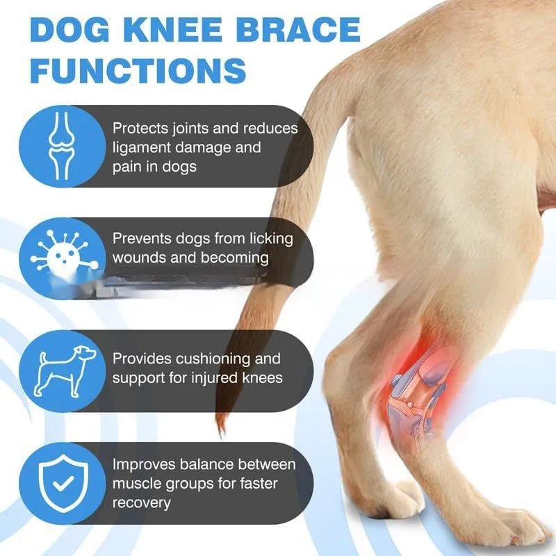 Black polyester pet leg guard for joint support in sizes L, M, and XL