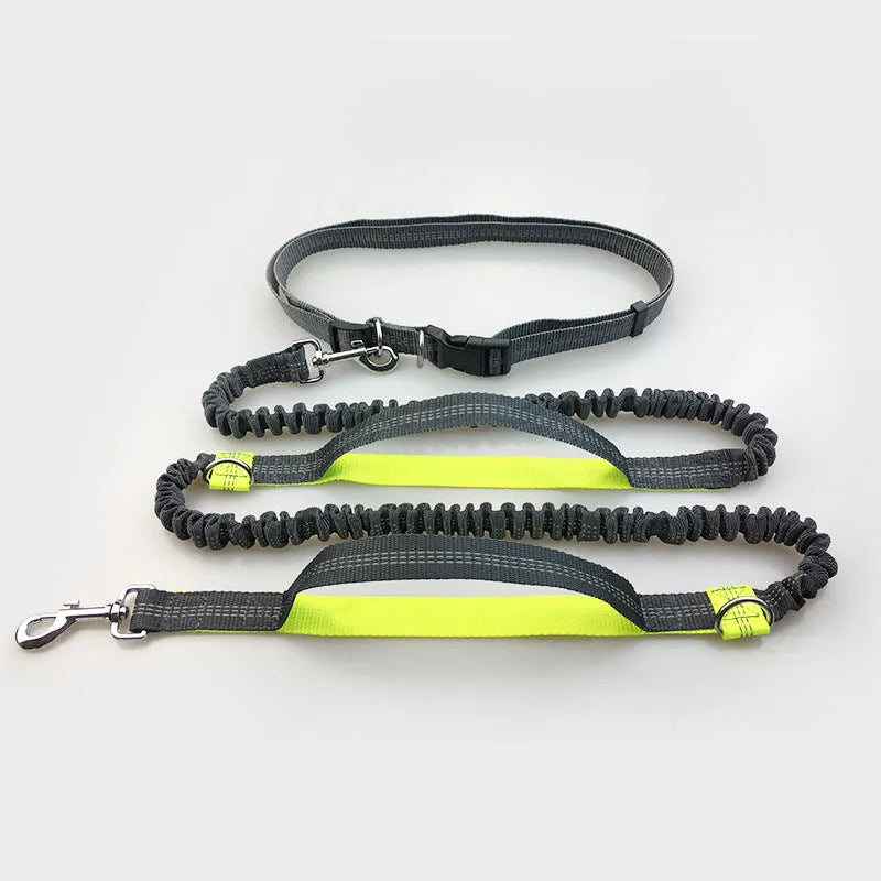 Reflective hands-free dog lead with elastic bungee, waist belt and phone pocket, adjustable 160-260cm