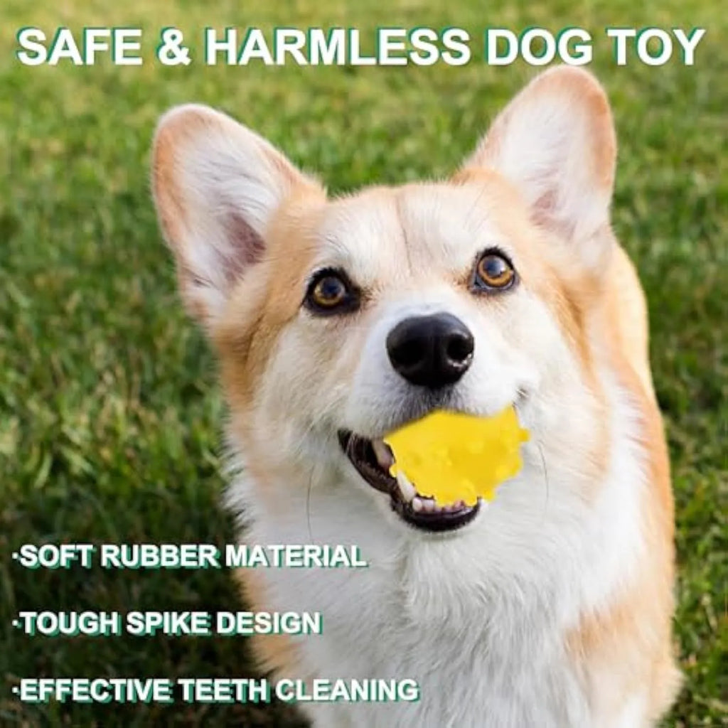 Set of four brightly coloured squeaky dog balls with a textured surface, shown next to a small dog.