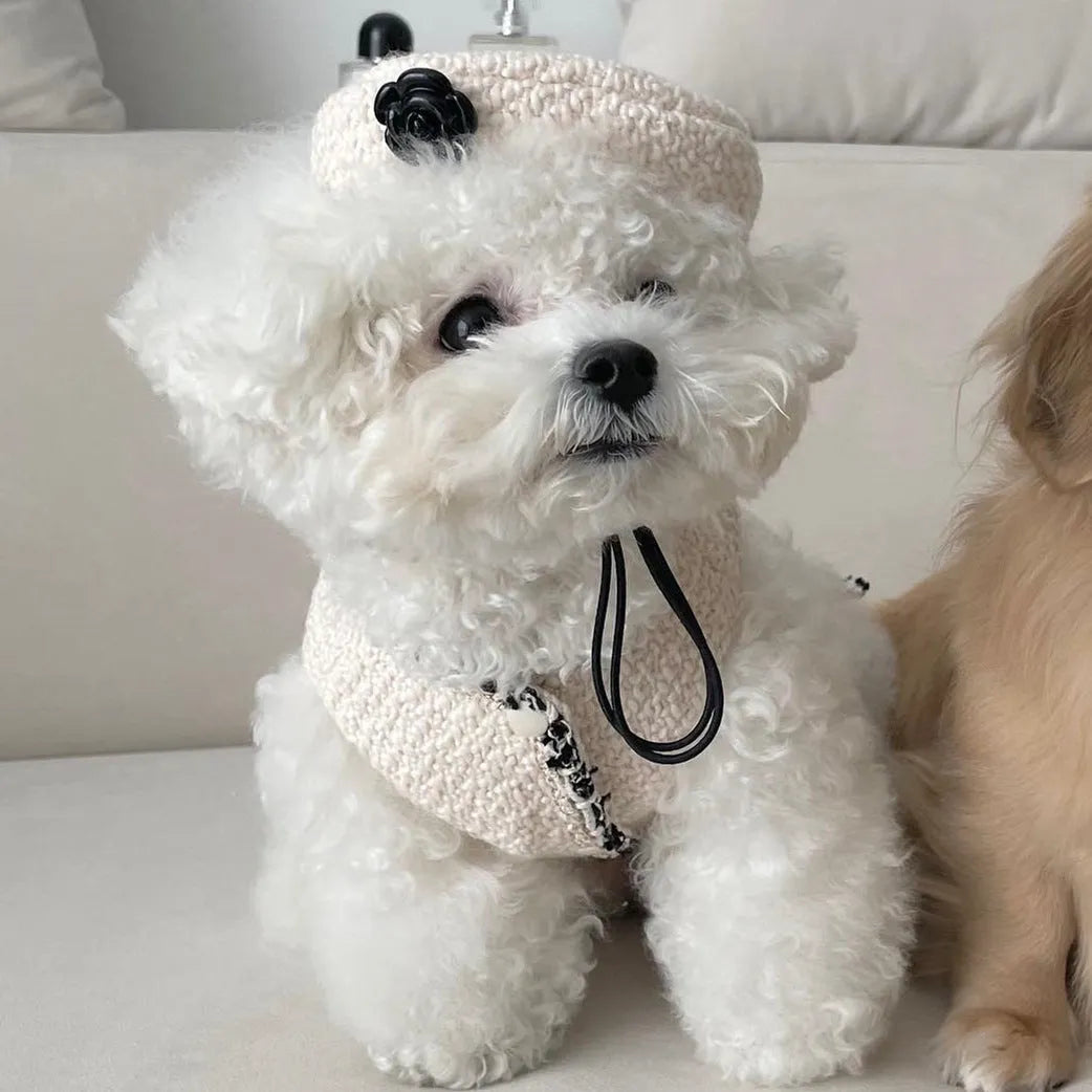 Small pet wearing knitted hat in black or beige, chemical fibre, 40cm head circumference