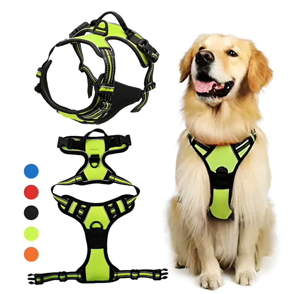 Nylon dog rope lead with chest and back control in multiple colours and sizes for pet walking and training
