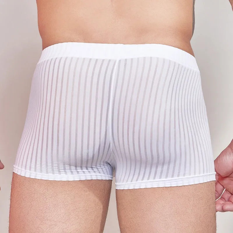 Men's thin striped nylon underwear in black, displayed flat.