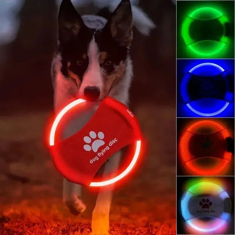 LED glowing dog flying disc for low-light fetch and training, 22cm diameter, available in multiple colours