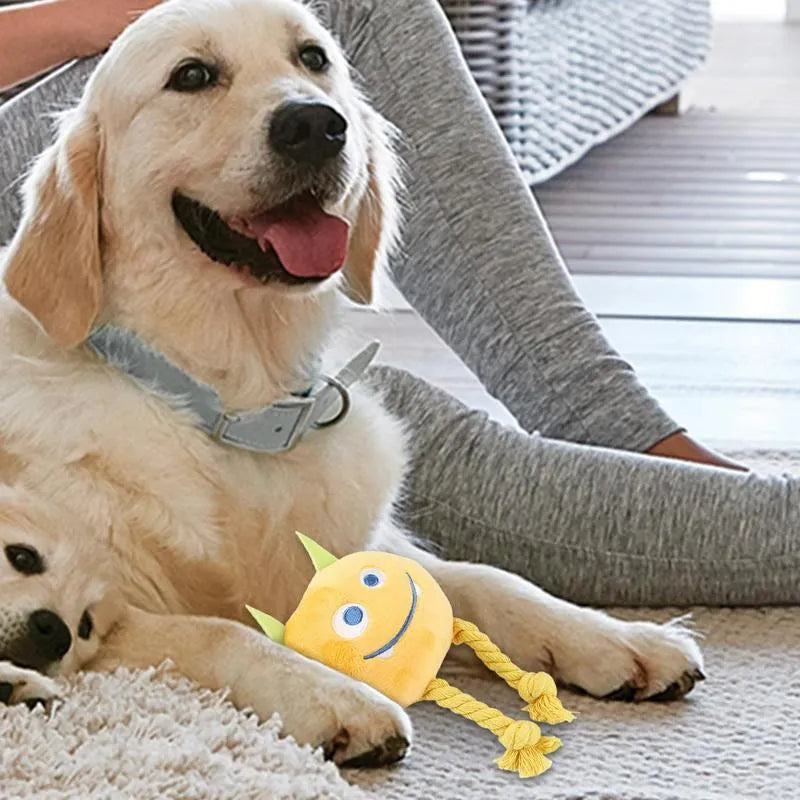 Blue cotton rope dog squeaky toy with strong knot design and cartoon animal shape