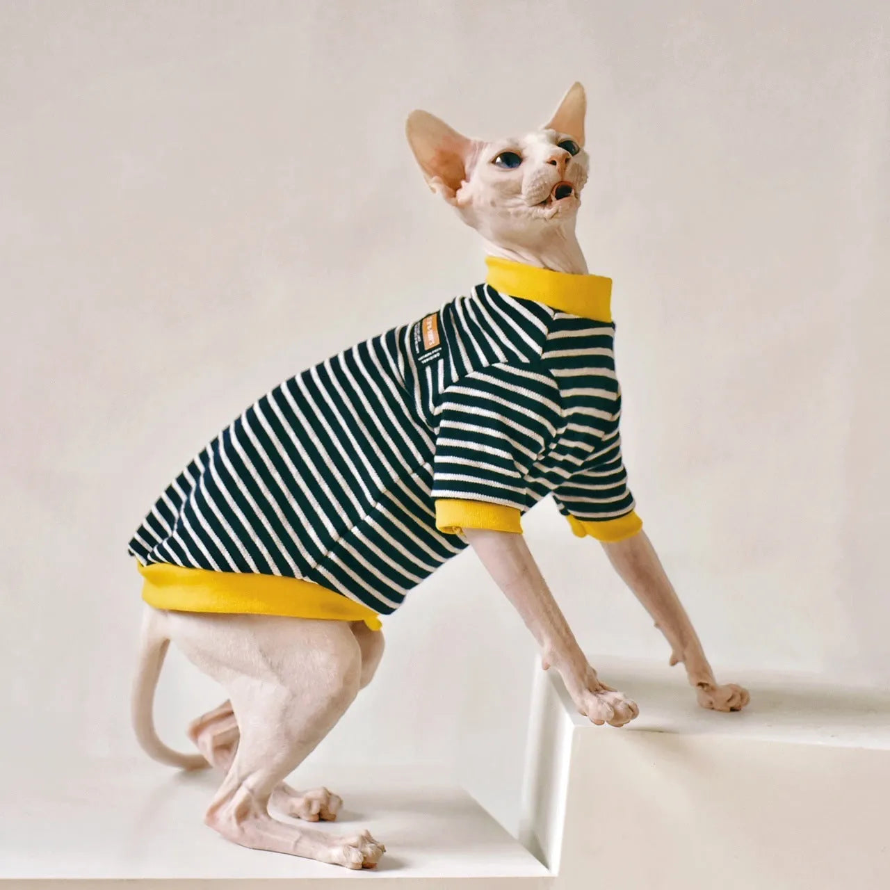Black cotton sweater for Sphinx hairless cat, available in multiple sizes from XS to XXL