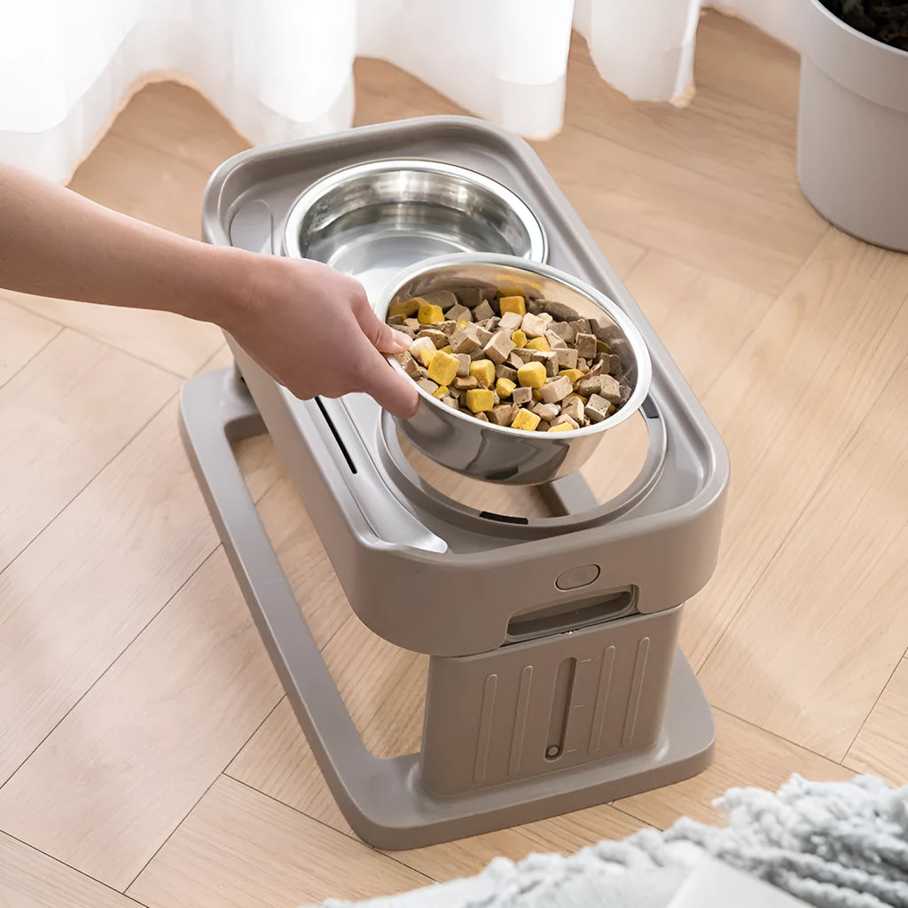 Adjustable elevated pet feeding station with plastic base and two stainless steel bowls in brown colour option