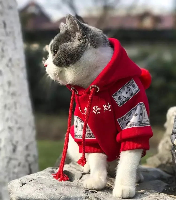 Cotton fleece pet sweater in red for dogs and cats, multiple sizes available