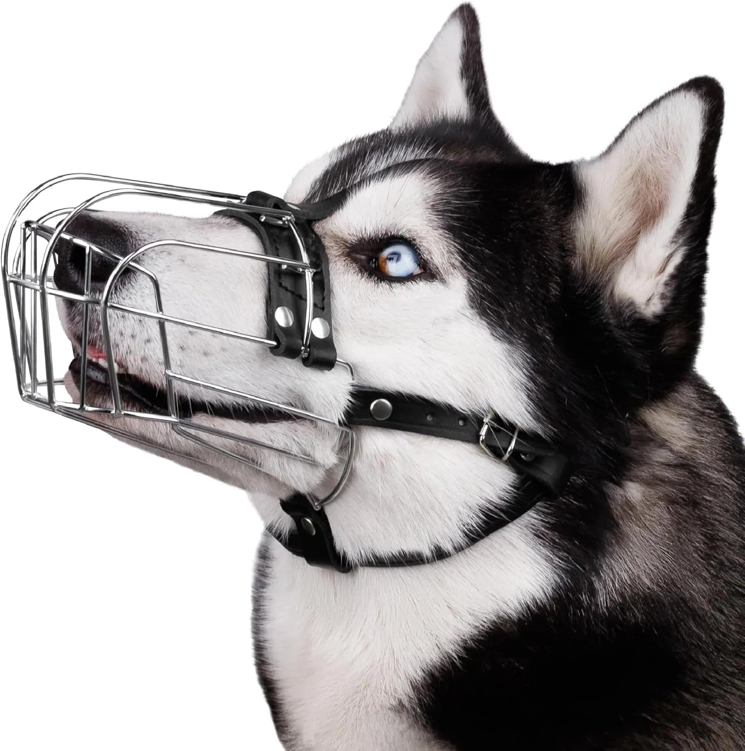 Black metal dog muzzle for golden retrievers and German shepherds