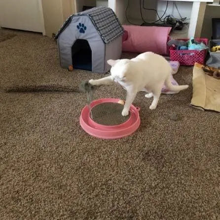 Blue interactive cat scratcher toy with ball track and replaceable scratch pad on a round base.