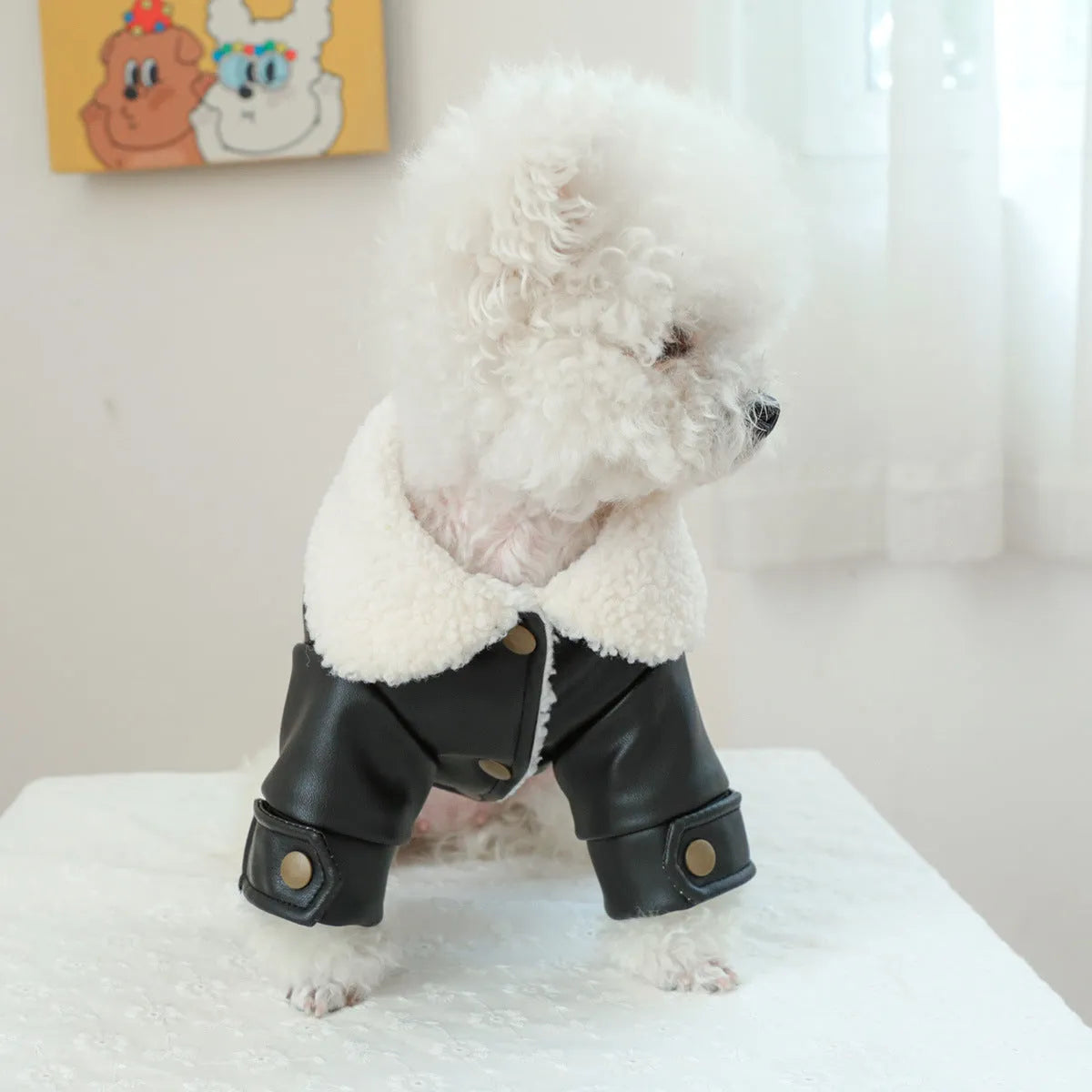 Beige fleece lined padded dog coat on a medium-sized dog, showing the fit and soft lining.
