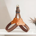 Small dog breast collar with hand-holding rope in brown, green, and light blue, cloth material, sizes S M L