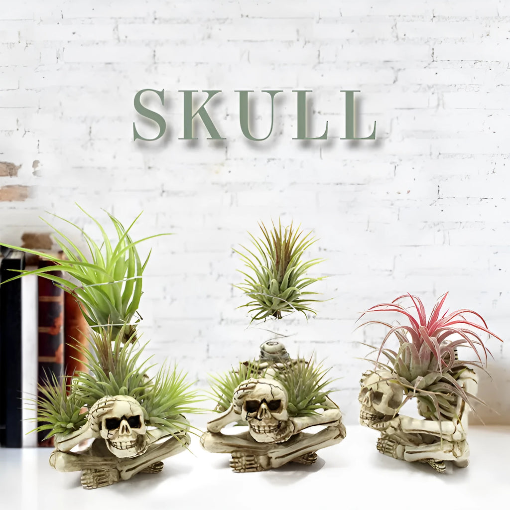 Skull-shaped soilless resin bracket for tillandsia air plants measuring 7x8x12.5cm with gothic design
