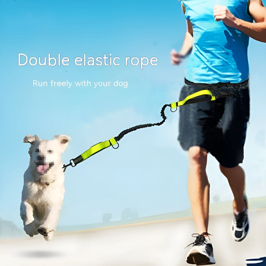 Adjustable pet traction rope with retractable leash and waist belt in fluorescent colours