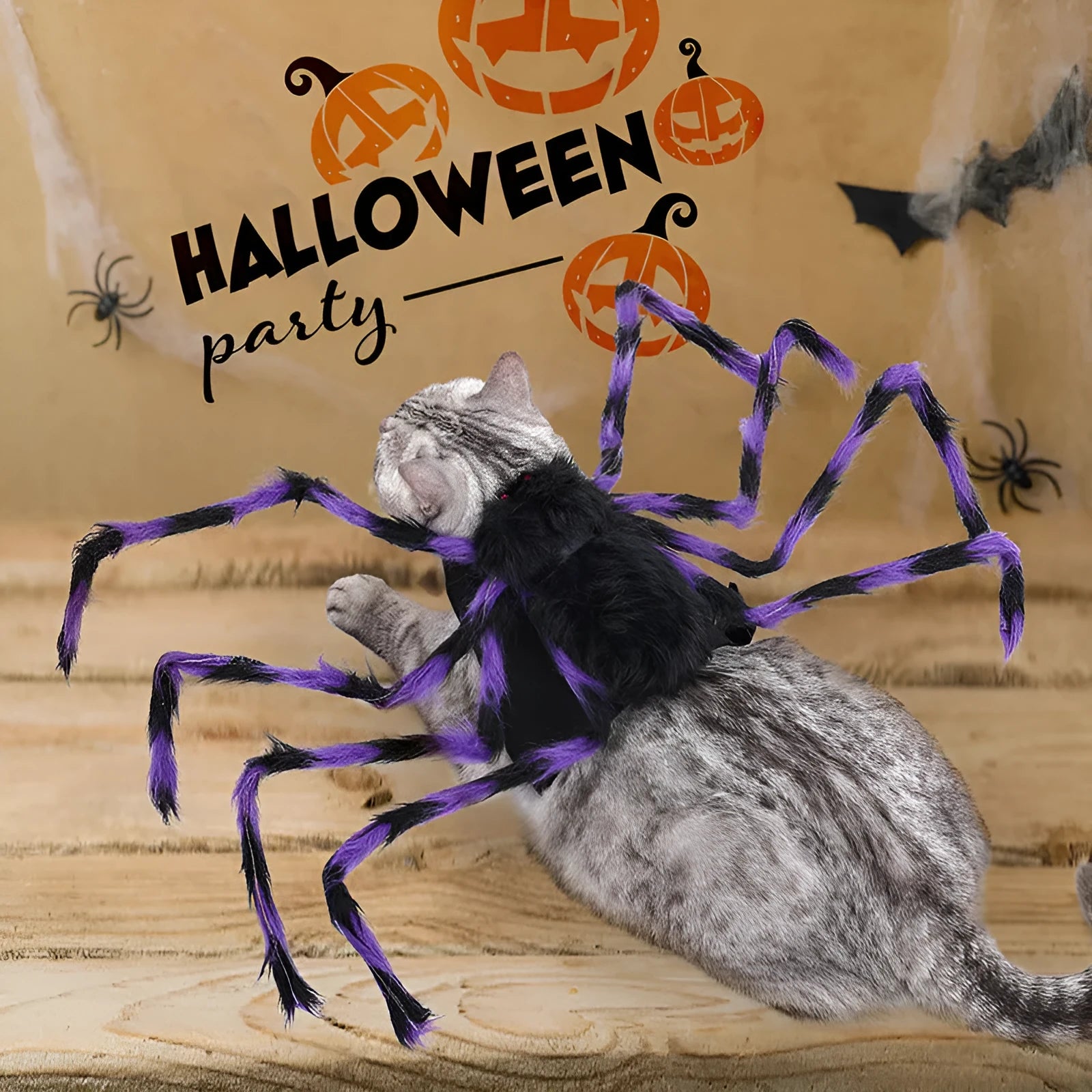 Grey big spider Halloween costume on a small dog, showing the full costume fit.