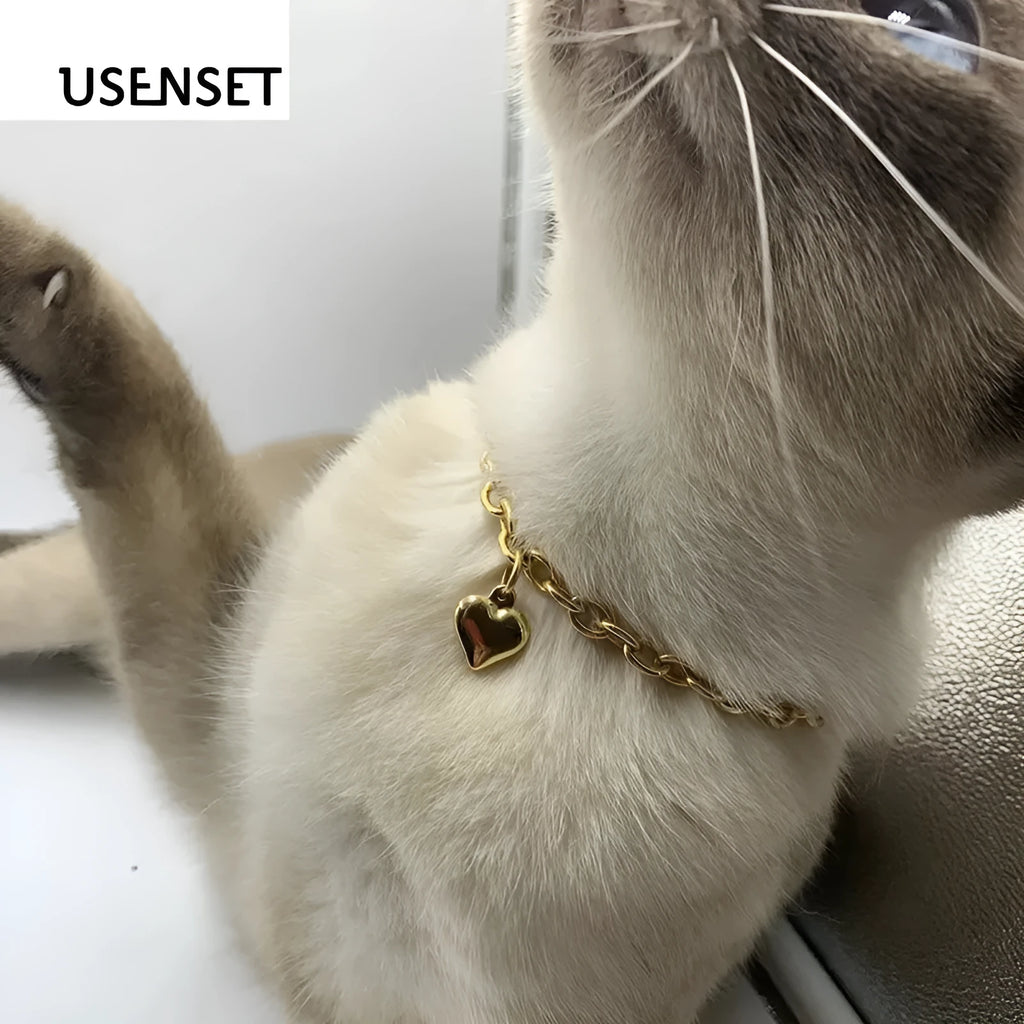 Stainless steel pet pendant necklace with love heart charm showing cat or dog motif on curb chain