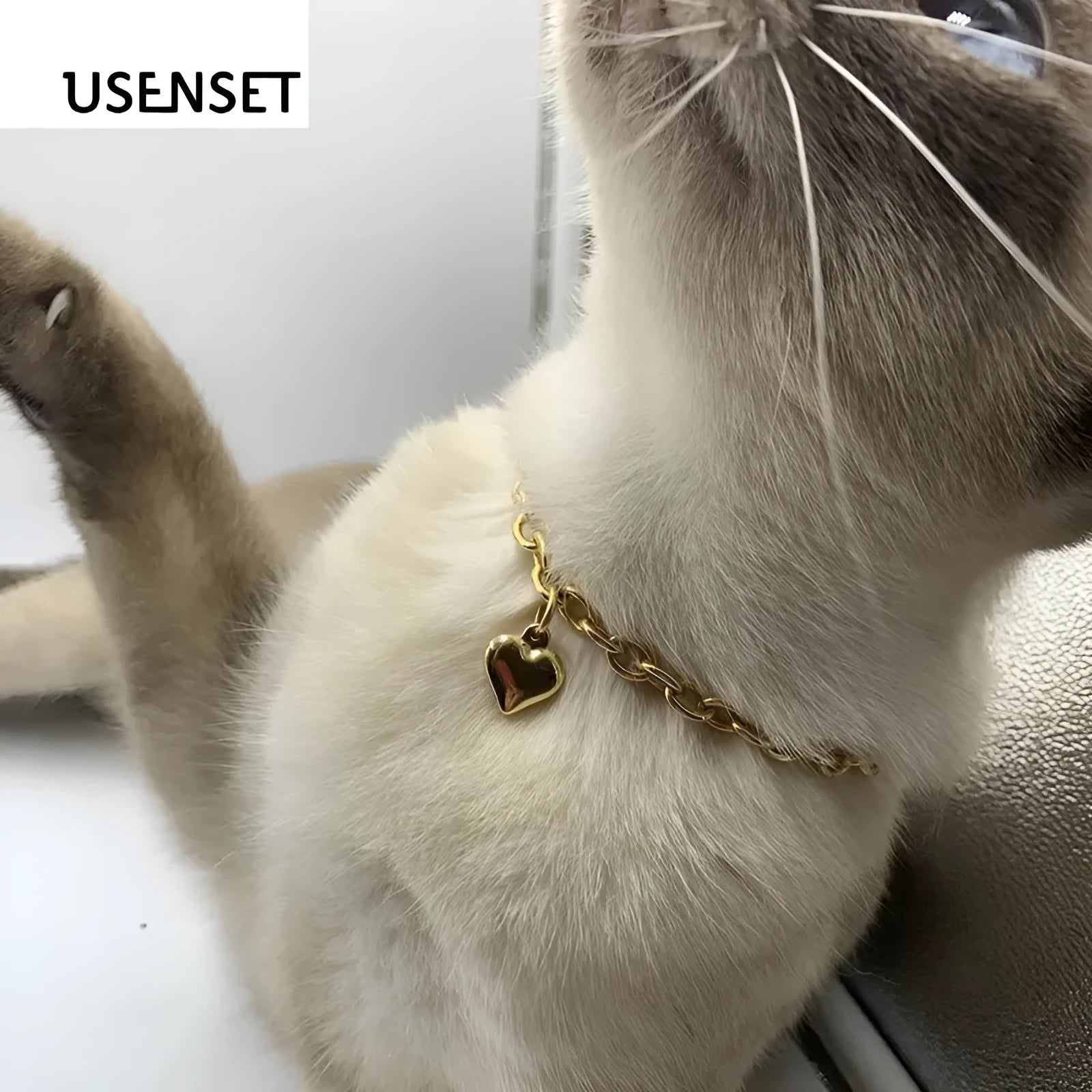 Stainless steel pet pendant necklace with love heart charm showing cat or dog motif on curb chain