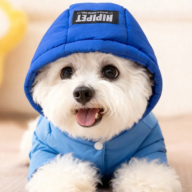 Blue padded dog snowsuit with hood, 'Hello!' bear print pocket and metal leash ring for small dogs and cats.