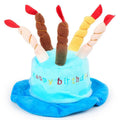A blue or pink birthday hat for toy dogs on a white background.