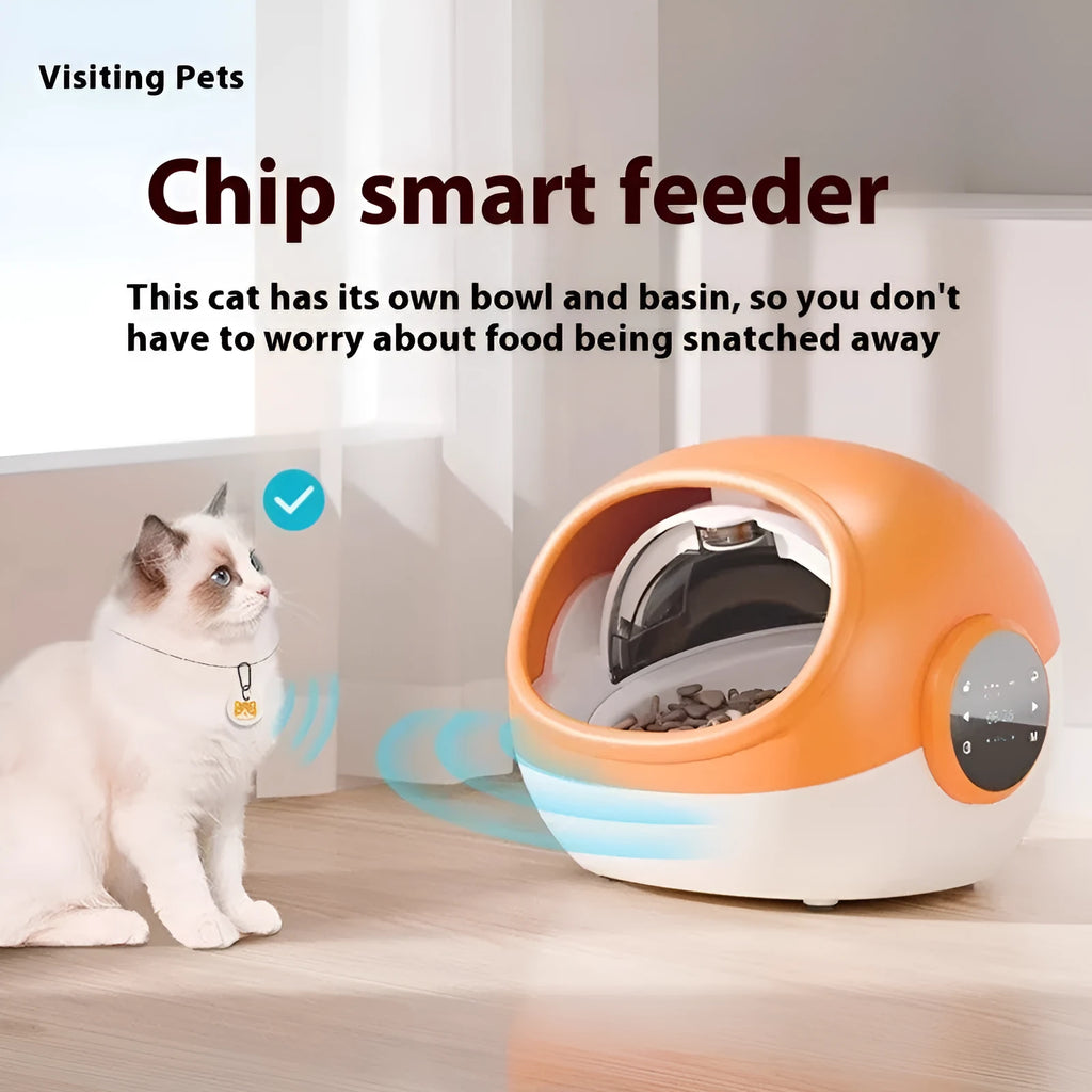 Pet anti-grab food chip identification multi-cat automatic plastic feeder with UK plug