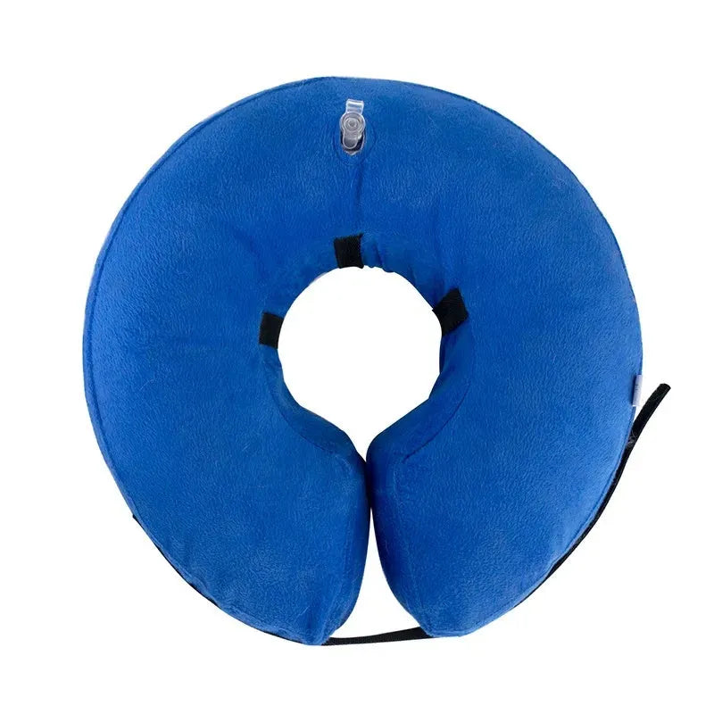 Blue inflatable soft recovery collar for a dog resting after surgery.