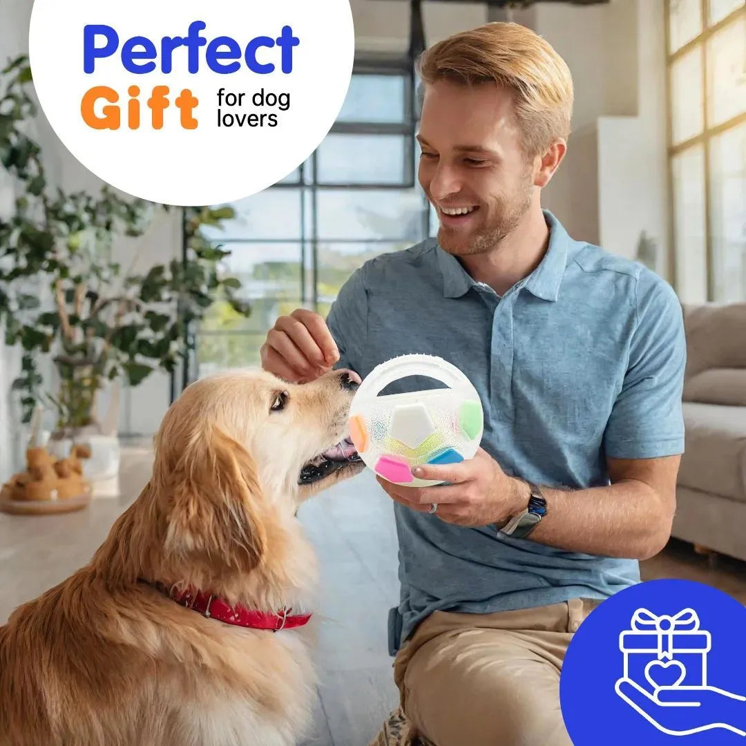 Football tennis ball shaped dog toy in white with black pattern for outdoor fetching