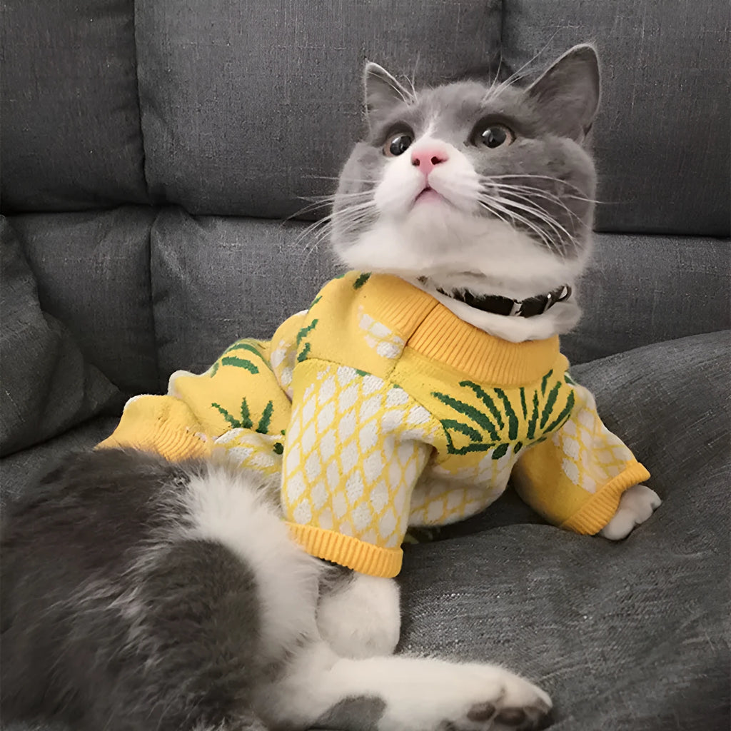 Yellow wool pet coat with pineapple print for autumn and winter, available in sizes S to XXL