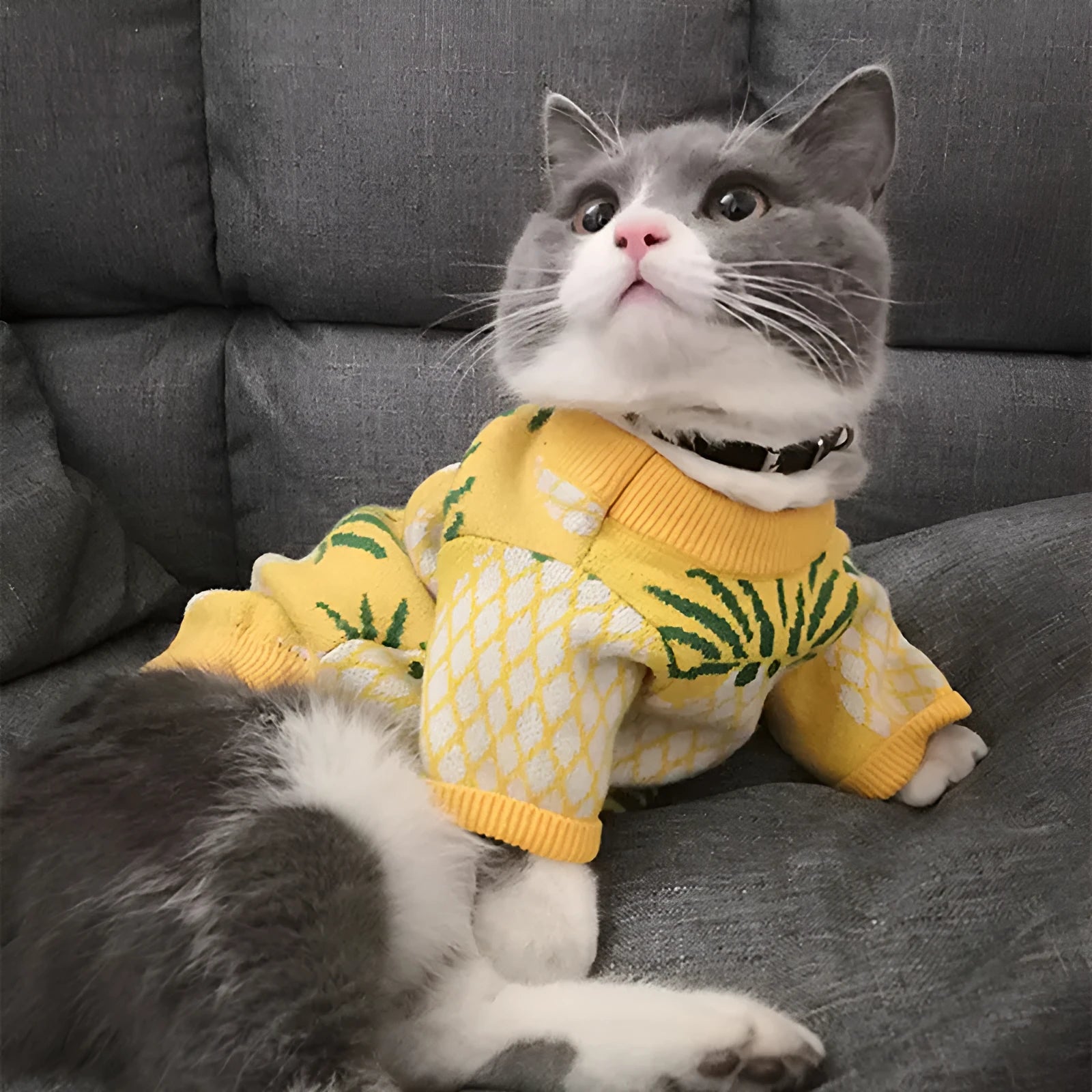 Yellow wool pet coat with pineapple print for autumn and winter, available in sizes S to XXL