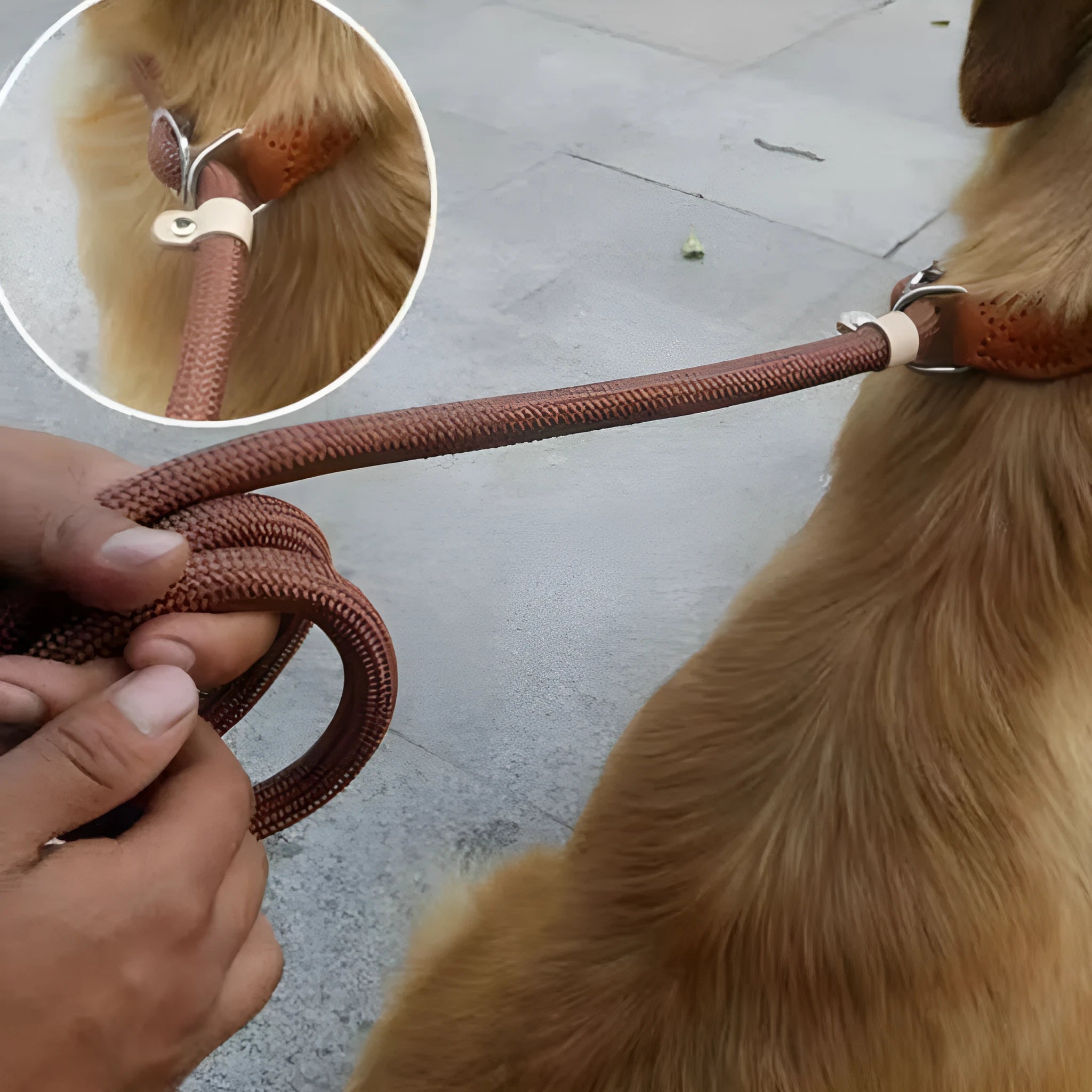 Brown nylon dog leash with hand holding rope and P chain attachment