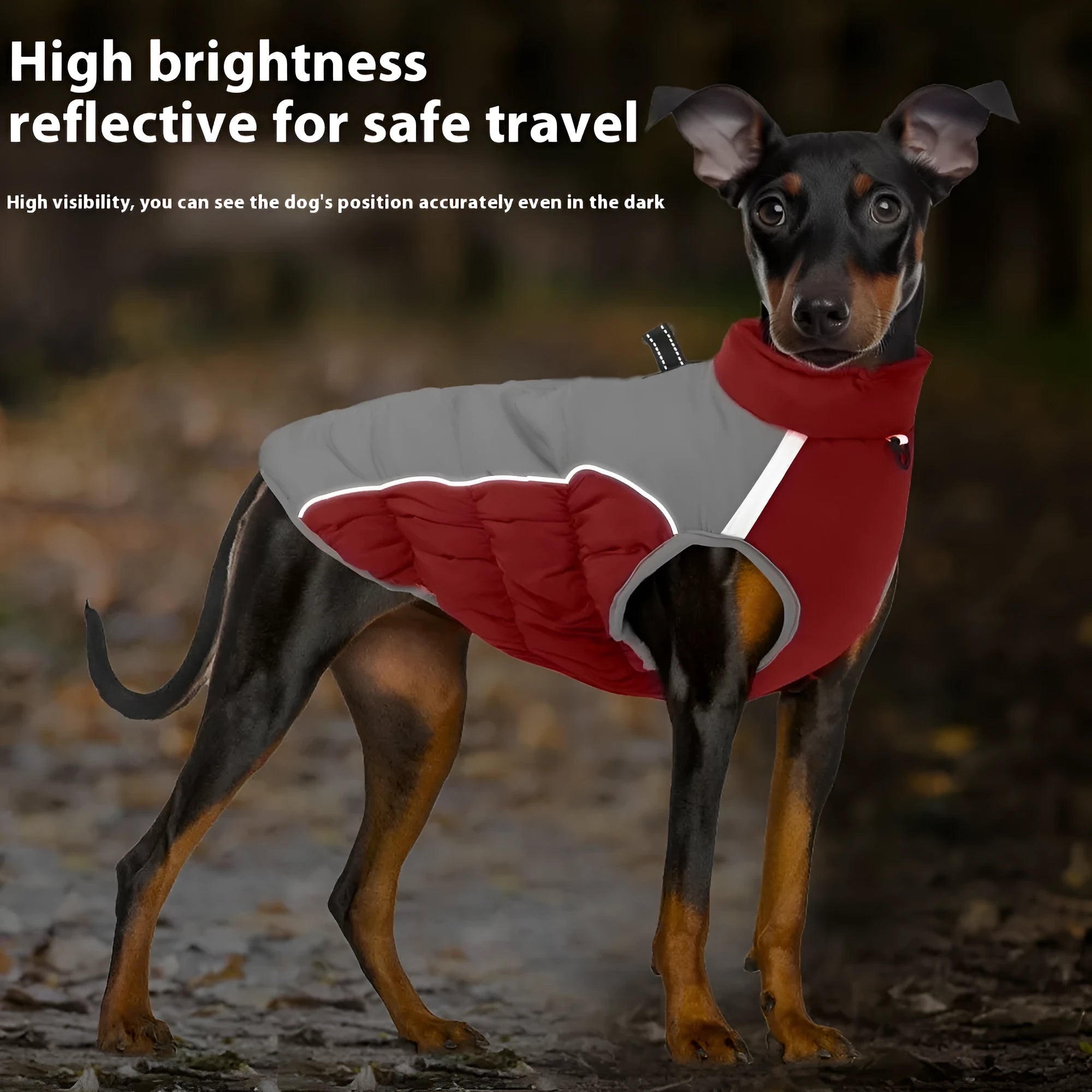 Windproof cotton dog winter coat for medium and large breeds in multiple colour options