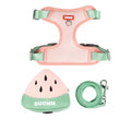 Green anti-slip pet chest strap and backpack set for a dog with a traction rope.