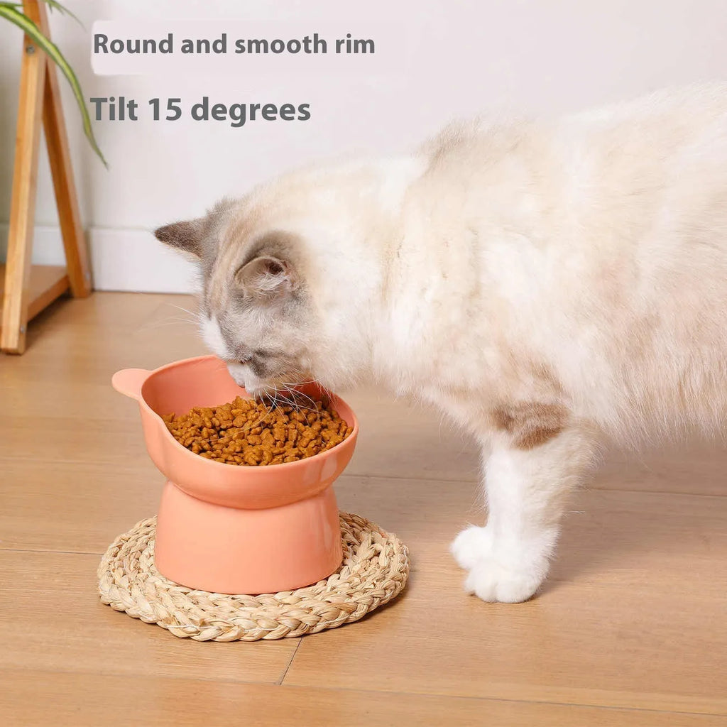 Oblique high foot pet bowl in PP for cats and dogs, shown in one of four colours: rouge pink, deep sea blue, lemon yellow or green grass green.