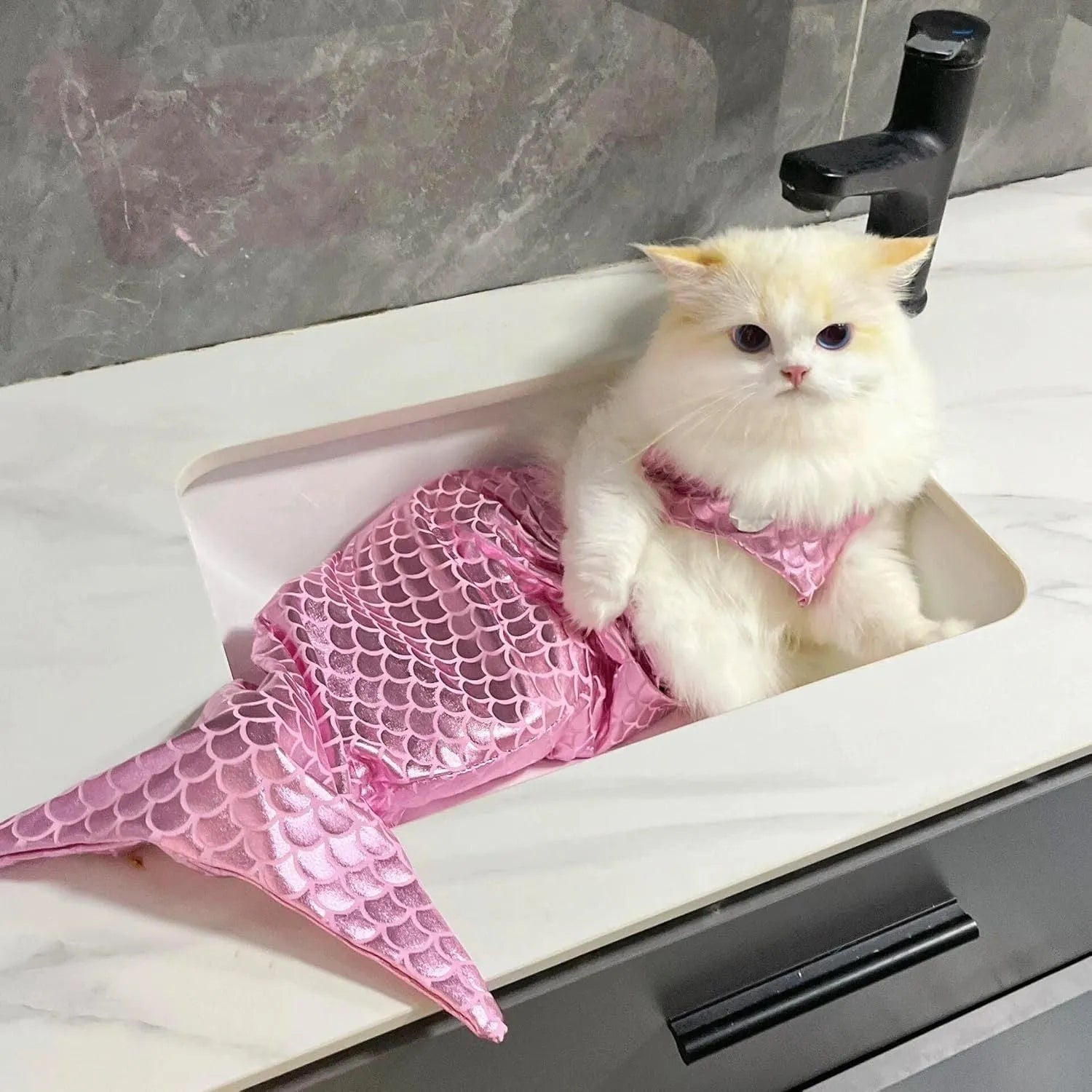 Blue mermaid costume with scale design on a cat, showing elastic fit and long fish tail.