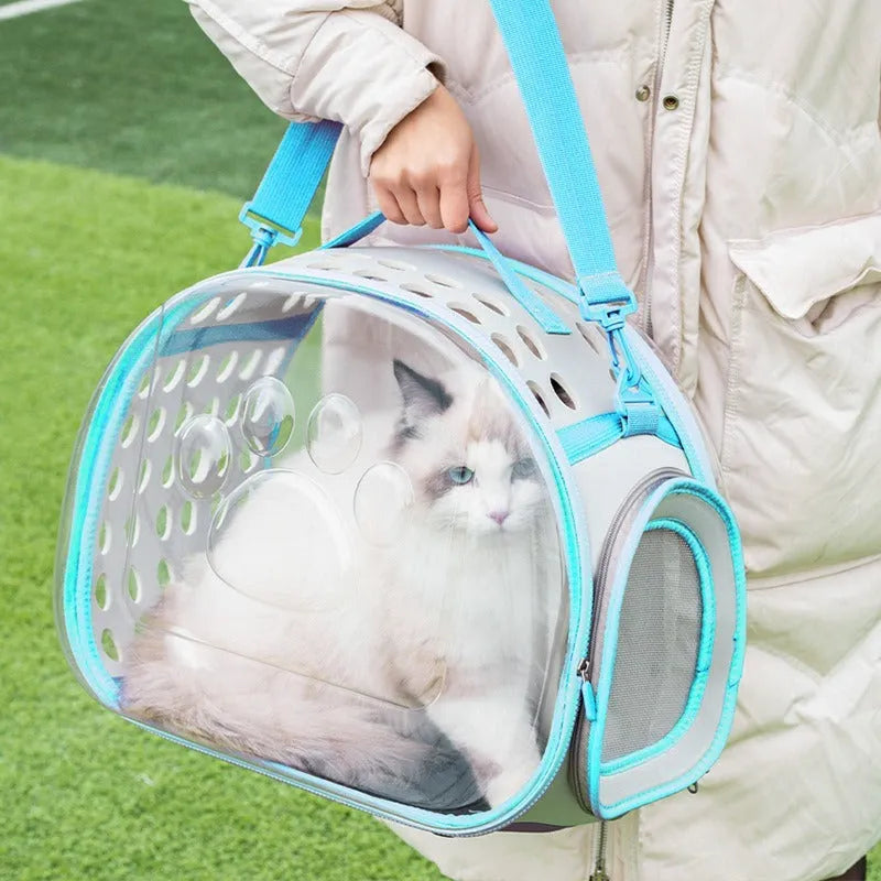 Transparent hard-shell cat backpack in grass green colour with shoulder straps, showing interior space dimensions