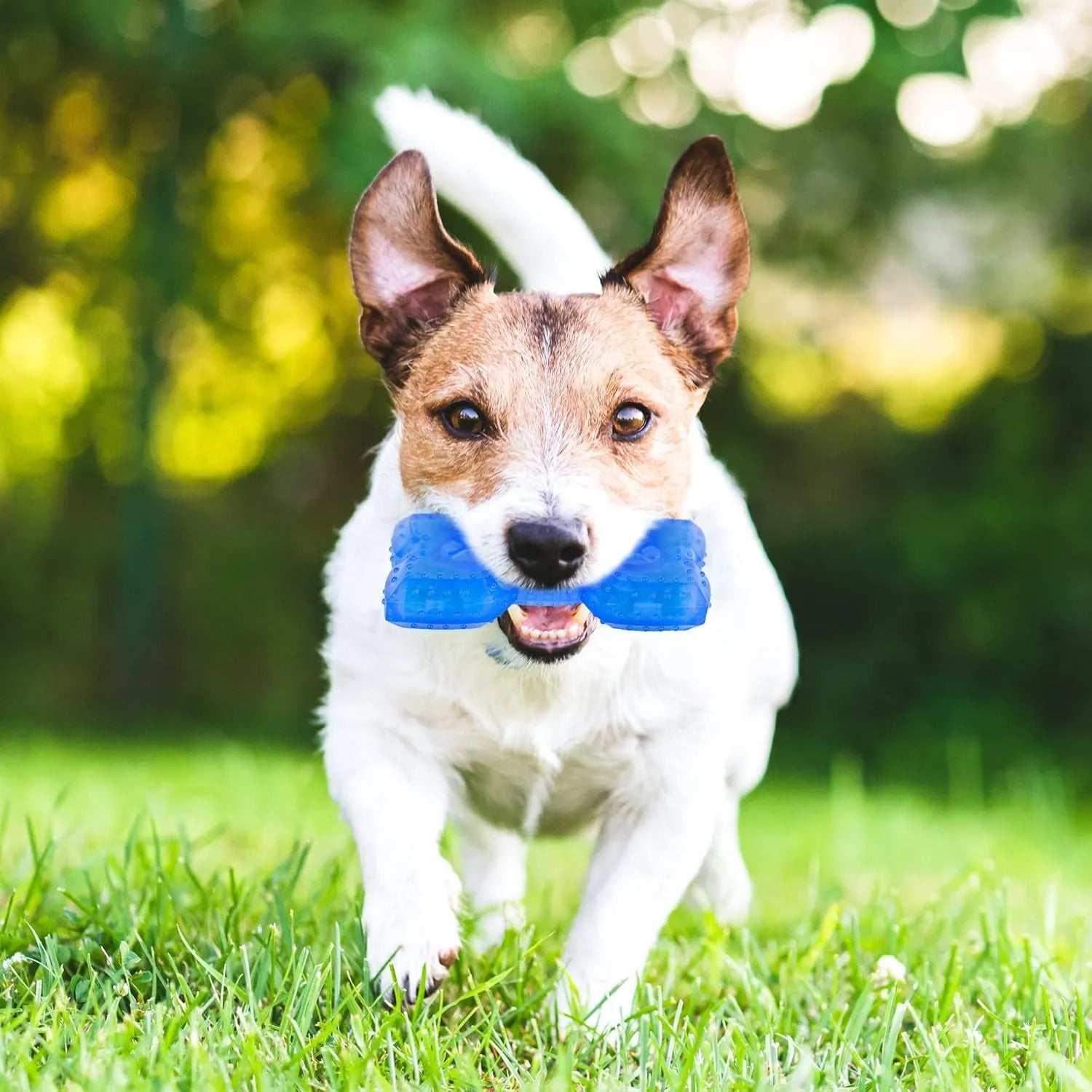 Freezable blue dog chew toy with textured surface and a cavity for treats.