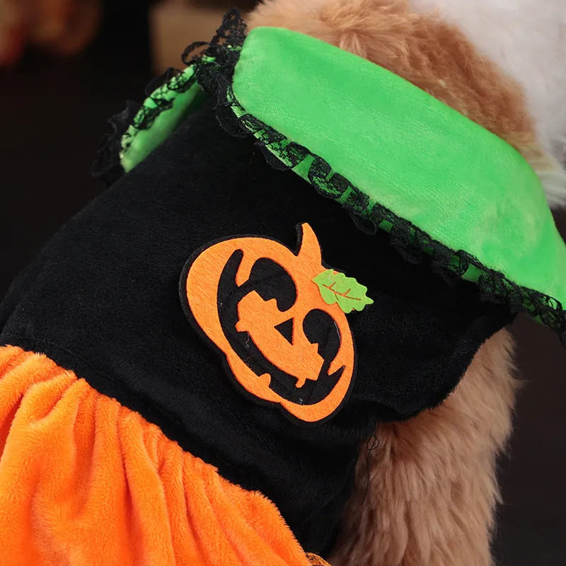 Halloween pumpkin skirt pet costume for small dogs and cats in crystal velvet material