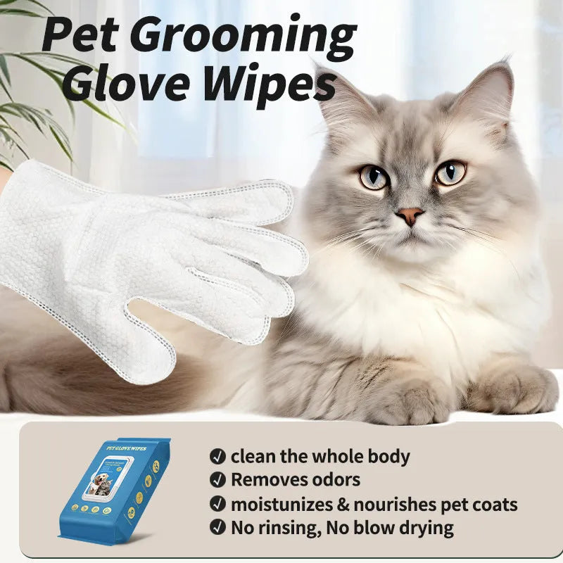 Disposable wash-free gloves for pet grooming and bath cleaning with a cat or dog.