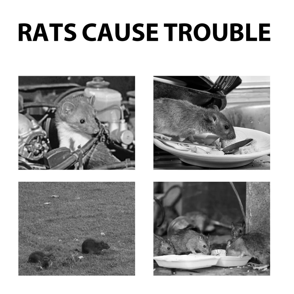 60ml natural rat repellent spray bottle with essential oils including clove, peppermint, camphor and chilli