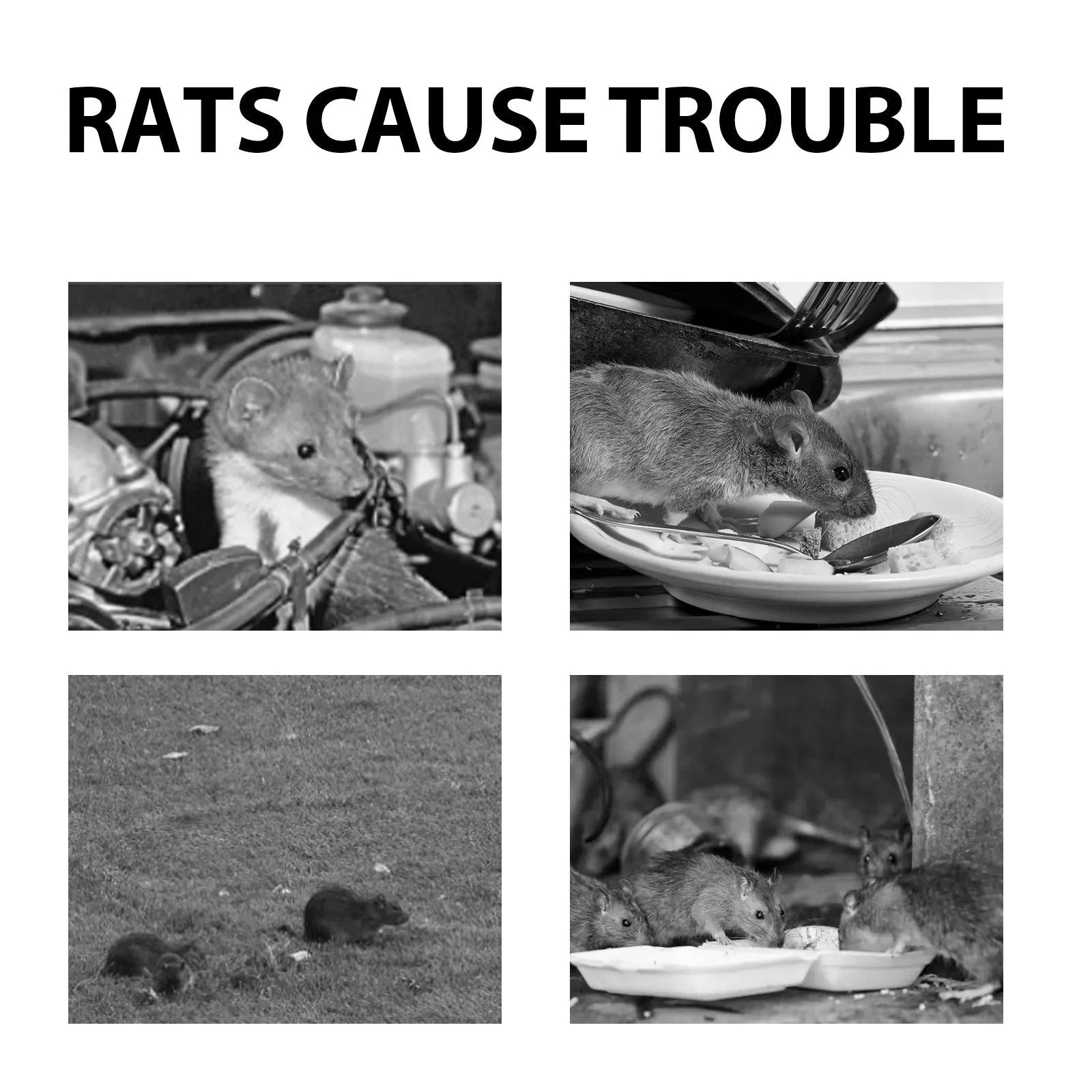 60ml natural rat repellent spray bottle with essential oils including clove, peppermint, camphor and chilli