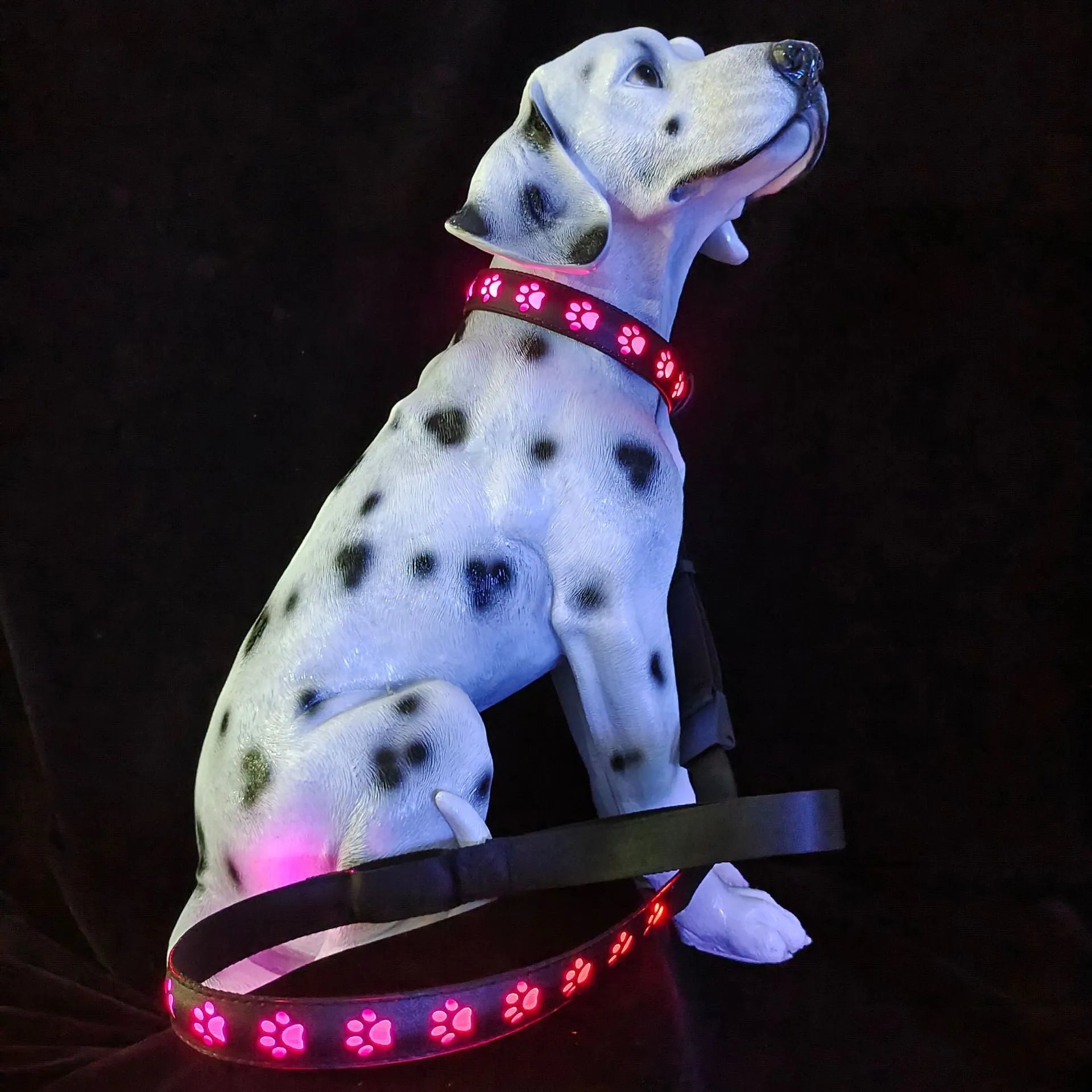 USB-rechargeable LED dog collar showing illuminated paw-print design on a black polyester strap.