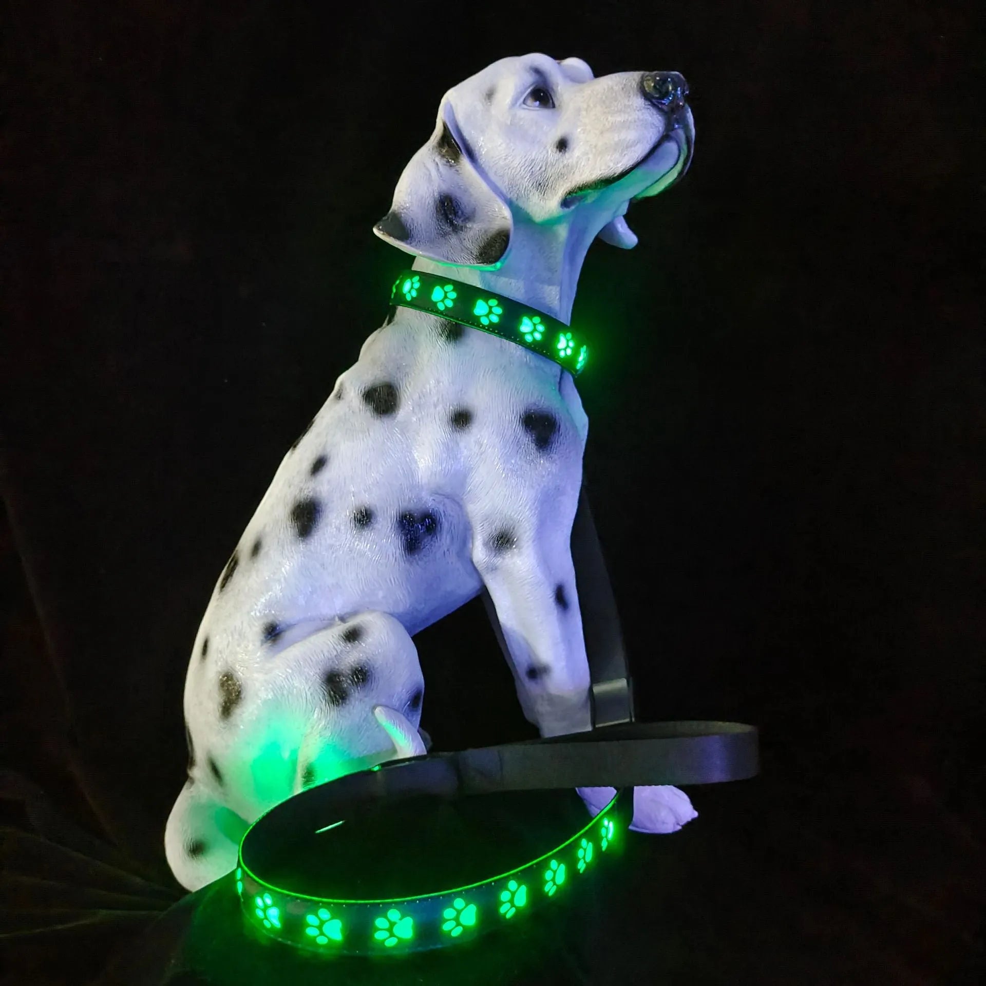 A dog wearing a blue LED luminous collar glowing in the dark, showing the adjustable polyester strap.