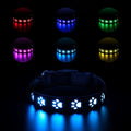 A dog wearing a blue LED luminous collar glowing in the dark, showing the adjustable polyester strap.