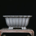 Purple sand ceramic square bonsai pot with 37cm inner diameter on desktop