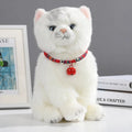 Coloured ethnic style pet collar with a metal bell on a cat or small dog