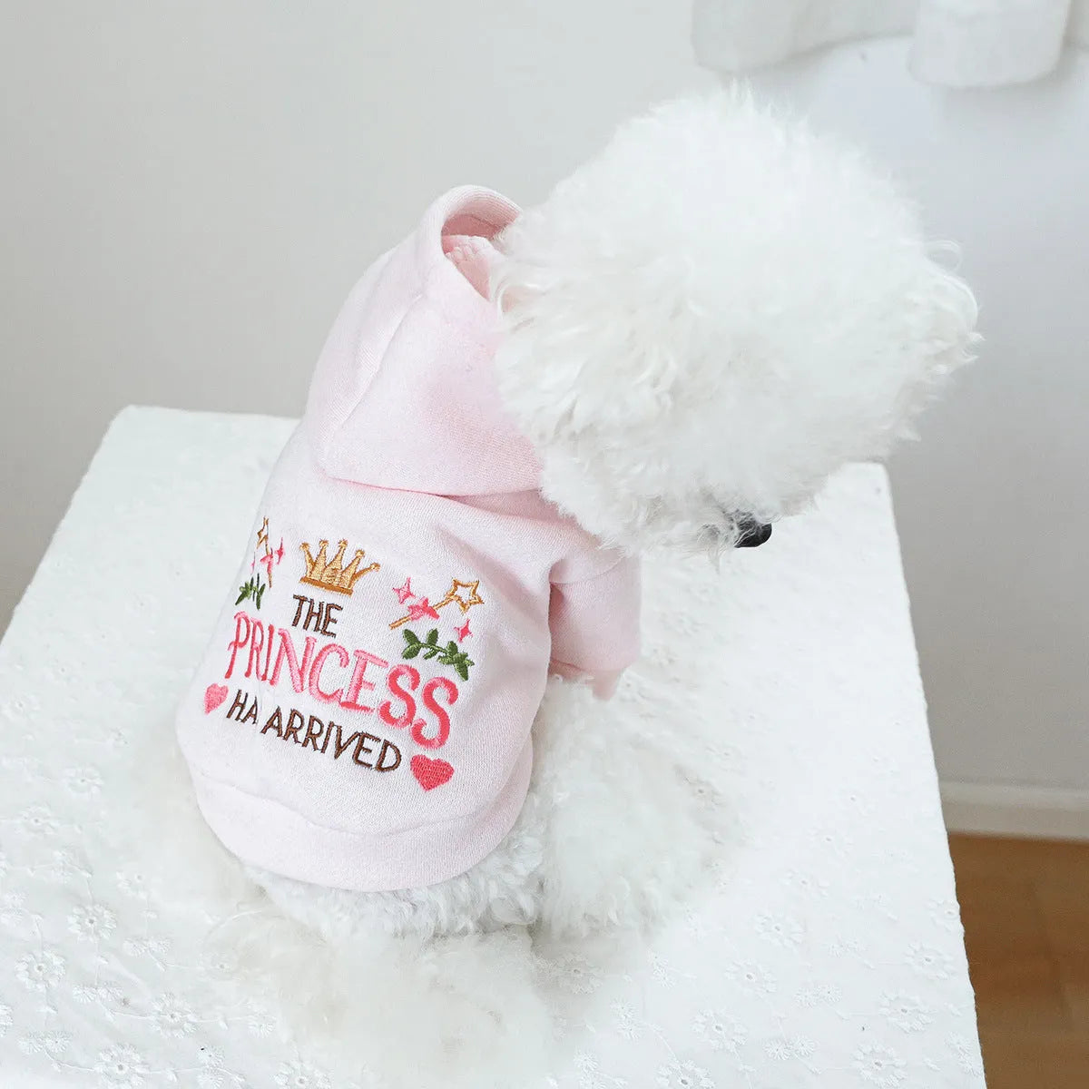 Little Princess design hooded pet sweater for dogs and cats in polyester fabric