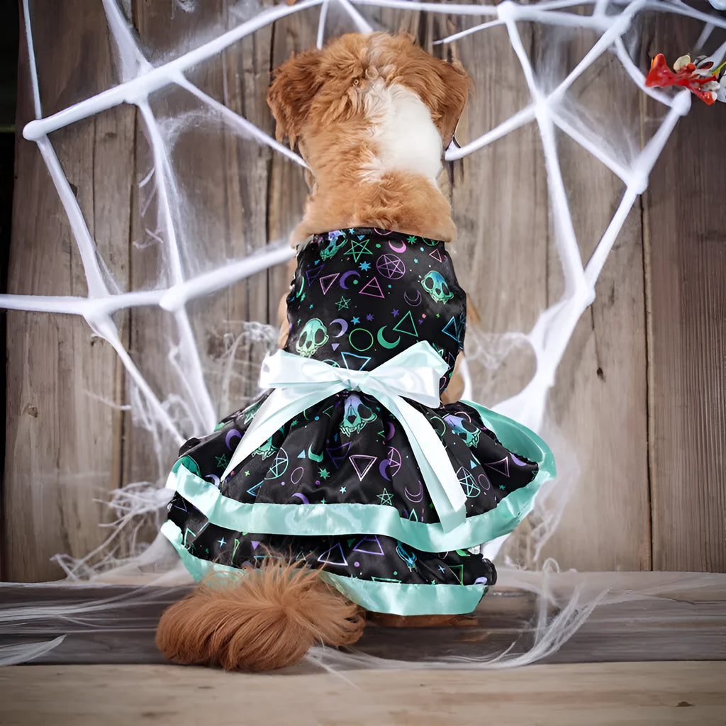 A dog wearing a double-layer orange Halloween skirt with a colourful pumpkin print.