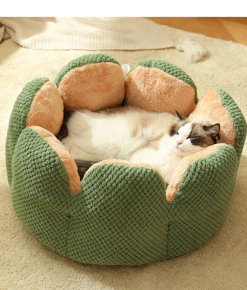 Cactus petal PP cotton pet nest in green, purple, grey, or coffee, sizes S 40cm, M 50cm, L 60cm
