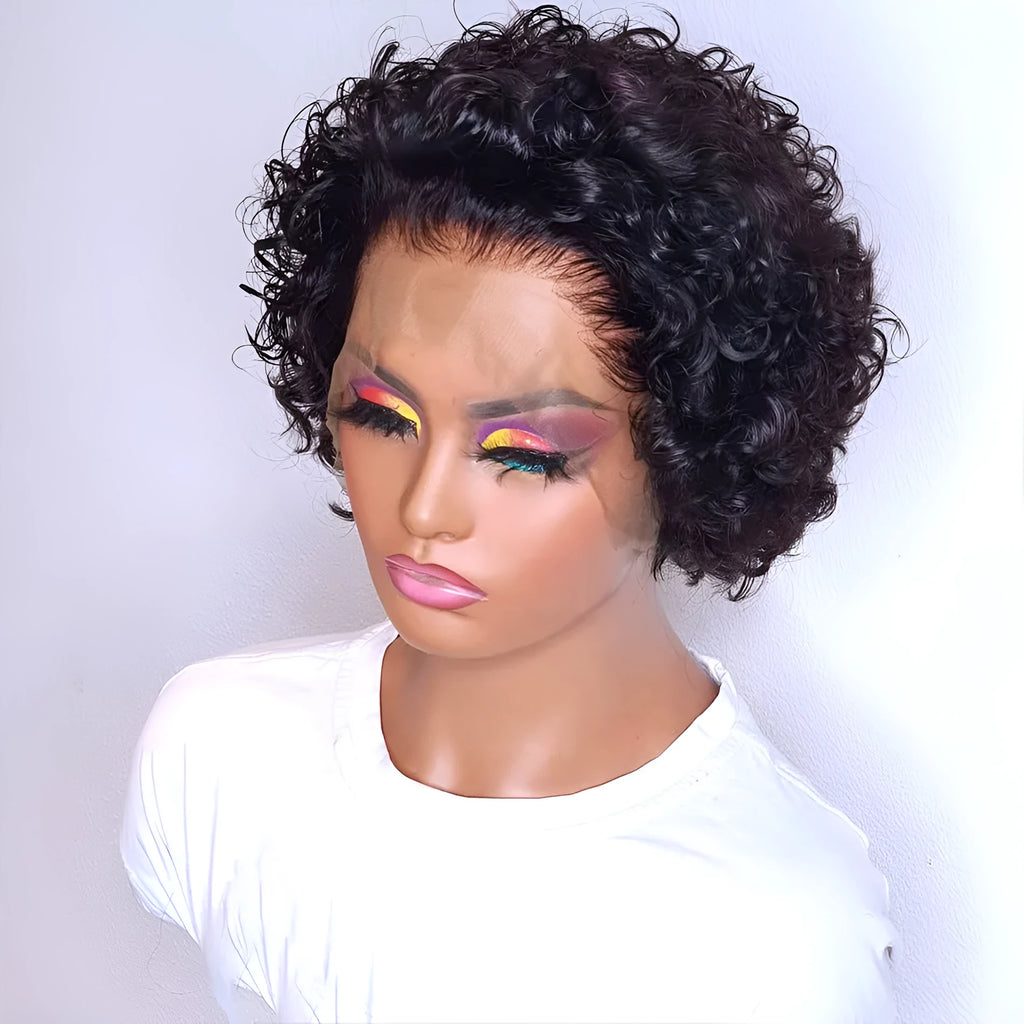 Black human hair wig with a 13x1 pre-plucked lace front, shown in a natural, straight style for daily wear.