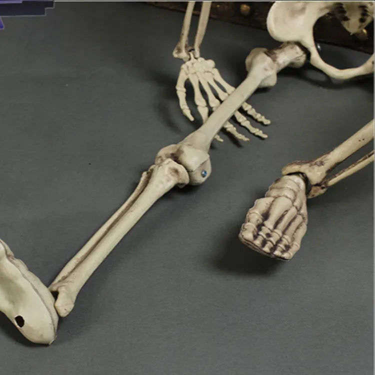 Full-sized 170 cm tall plastic skeleton prop with detailed skull on a stand.