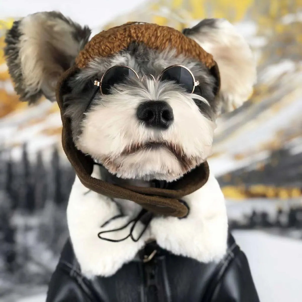 Black and brown leather jacket and vest for small dogs or cats in autumn and winter.